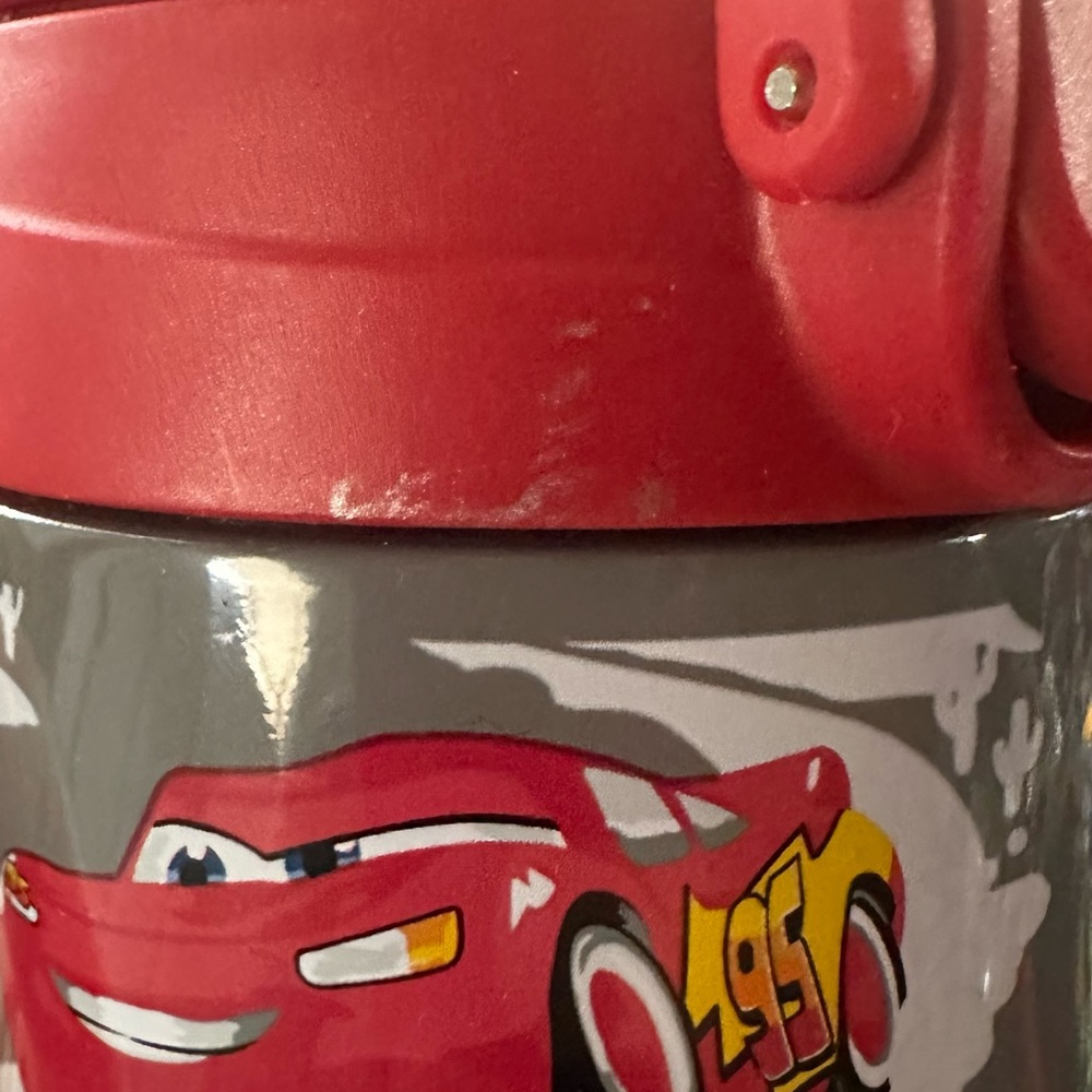 Pottery Barn Kids Red Cars Water Bottle